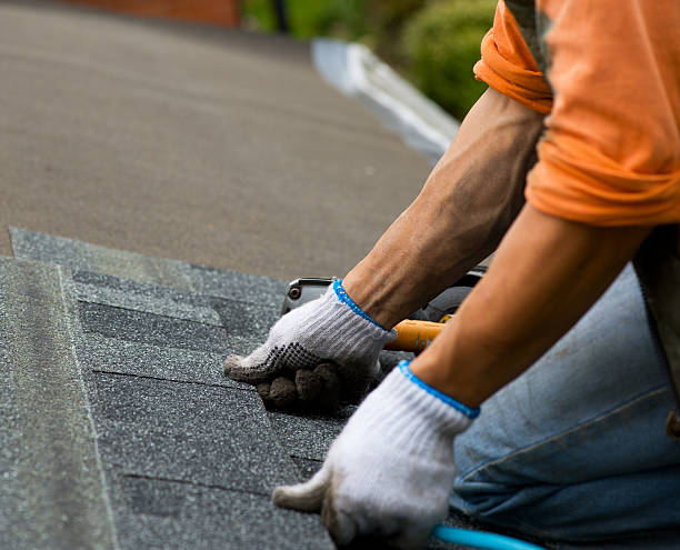 Best Metal Roofing Contractor  in Frewsburg, NY