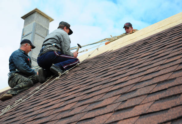 Roof Gutter Cleaning in Frewsburg, NY